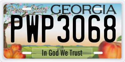 GA license plate PWP3068