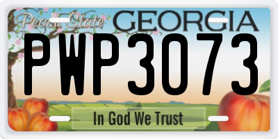 GA license plate PWP3073