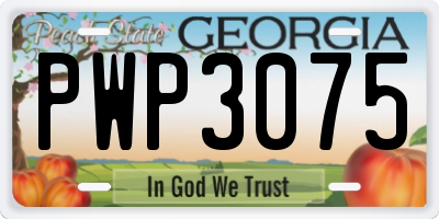 GA license plate PWP3075