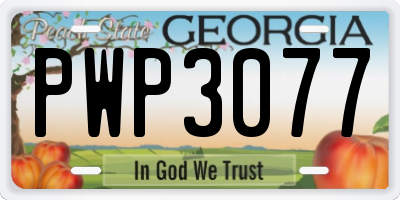 GA license plate PWP3077
