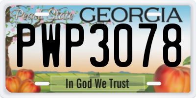 GA license plate PWP3078