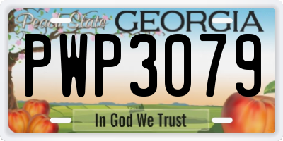 GA license plate PWP3079