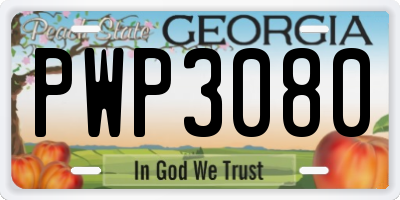 GA license plate PWP3080