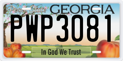 GA license plate PWP3081