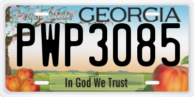 GA license plate PWP3085