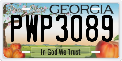 GA license plate PWP3089