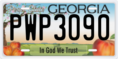 GA license plate PWP3090