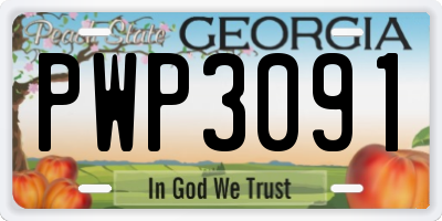 GA license plate PWP3091