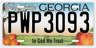 GA license plate PWP3093