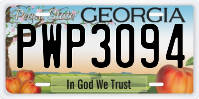 GA license plate PWP3094