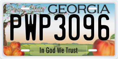 GA license plate PWP3096