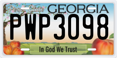GA license plate PWP3098