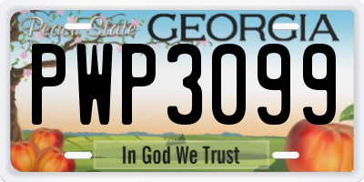 GA license plate PWP3099