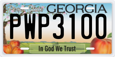 GA license plate PWP3100