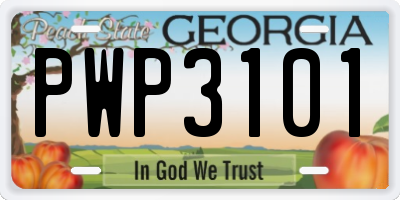 GA license plate PWP3101