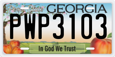 GA license plate PWP3103