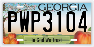 GA license plate PWP3104