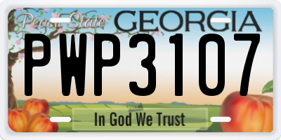 GA license plate PWP3107