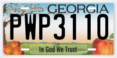 GA license plate PWP3110