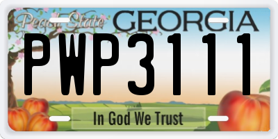 GA license plate PWP3111