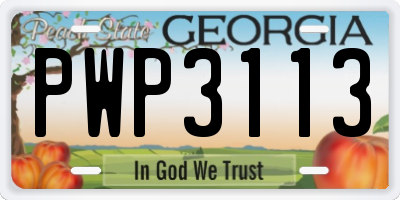 GA license plate PWP3113