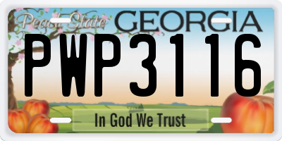 GA license plate PWP3116