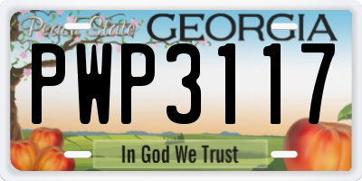 GA license plate PWP3117