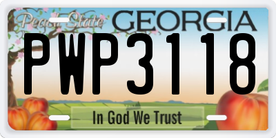 GA license plate PWP3118