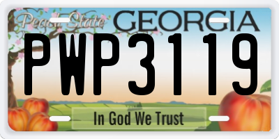 GA license plate PWP3119