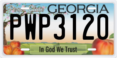 GA license plate PWP3120
