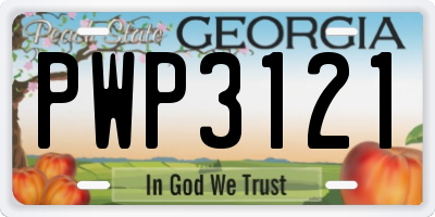GA license plate PWP3121