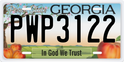 GA license plate PWP3122