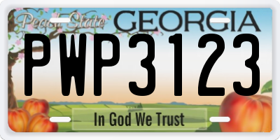 GA license plate PWP3123