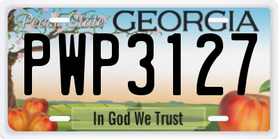 GA license plate PWP3127