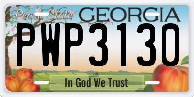 GA license plate PWP3130