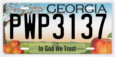 GA license plate PWP3137