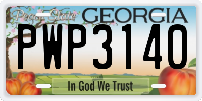 GA license plate PWP3140