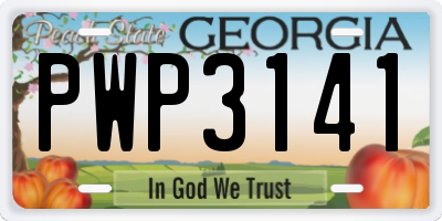 GA license plate PWP3141