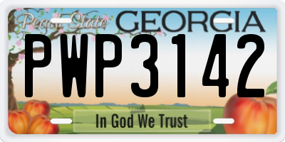 GA license plate PWP3142