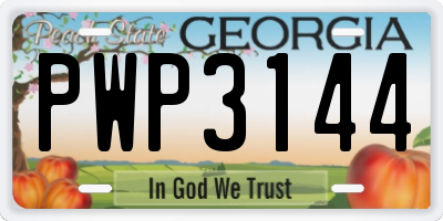 GA license plate PWP3144