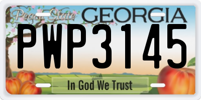 GA license plate PWP3145