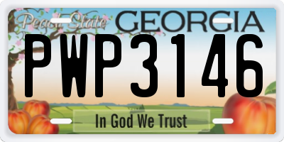 GA license plate PWP3146