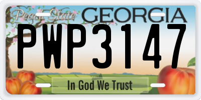 GA license plate PWP3147