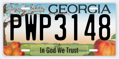 GA license plate PWP3148