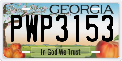 GA license plate PWP3153