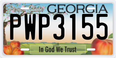 GA license plate PWP3155