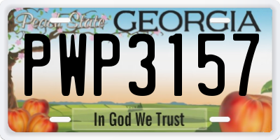 GA license plate PWP3157