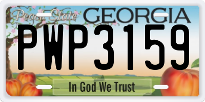 GA license plate PWP3159