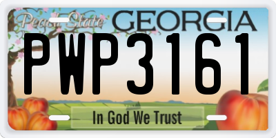 GA license plate PWP3161