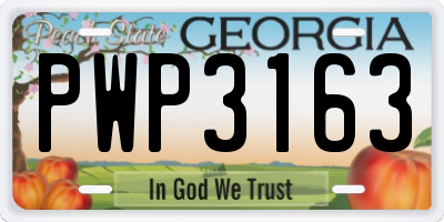 GA license plate PWP3163